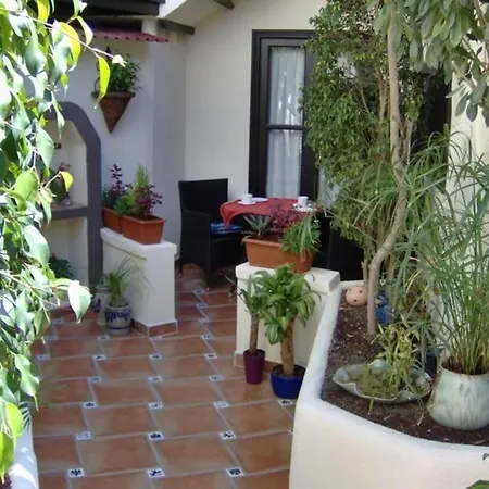 Apartament Fuer 1 Personen Ca 15 M In Icod De Vinos, Teneriffa Nordkueste Von Teneriffa *